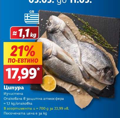 Ципура