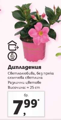 Дипладения