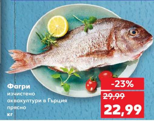 Фагри
