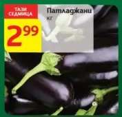Патладжани