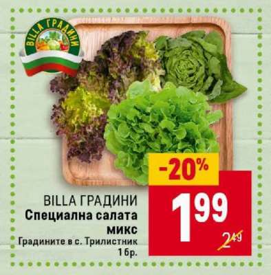 BILLA ГРАДИНИ Специална салата микс