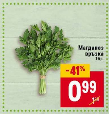 Магданоз връзка