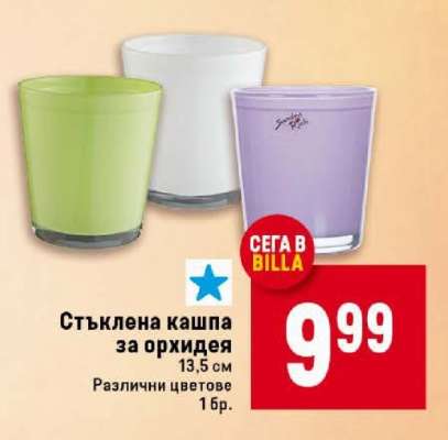 Стъклена кашпа за орхидея