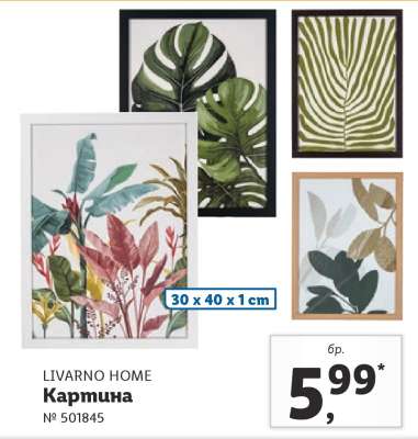 LIVARNO HOME Картина