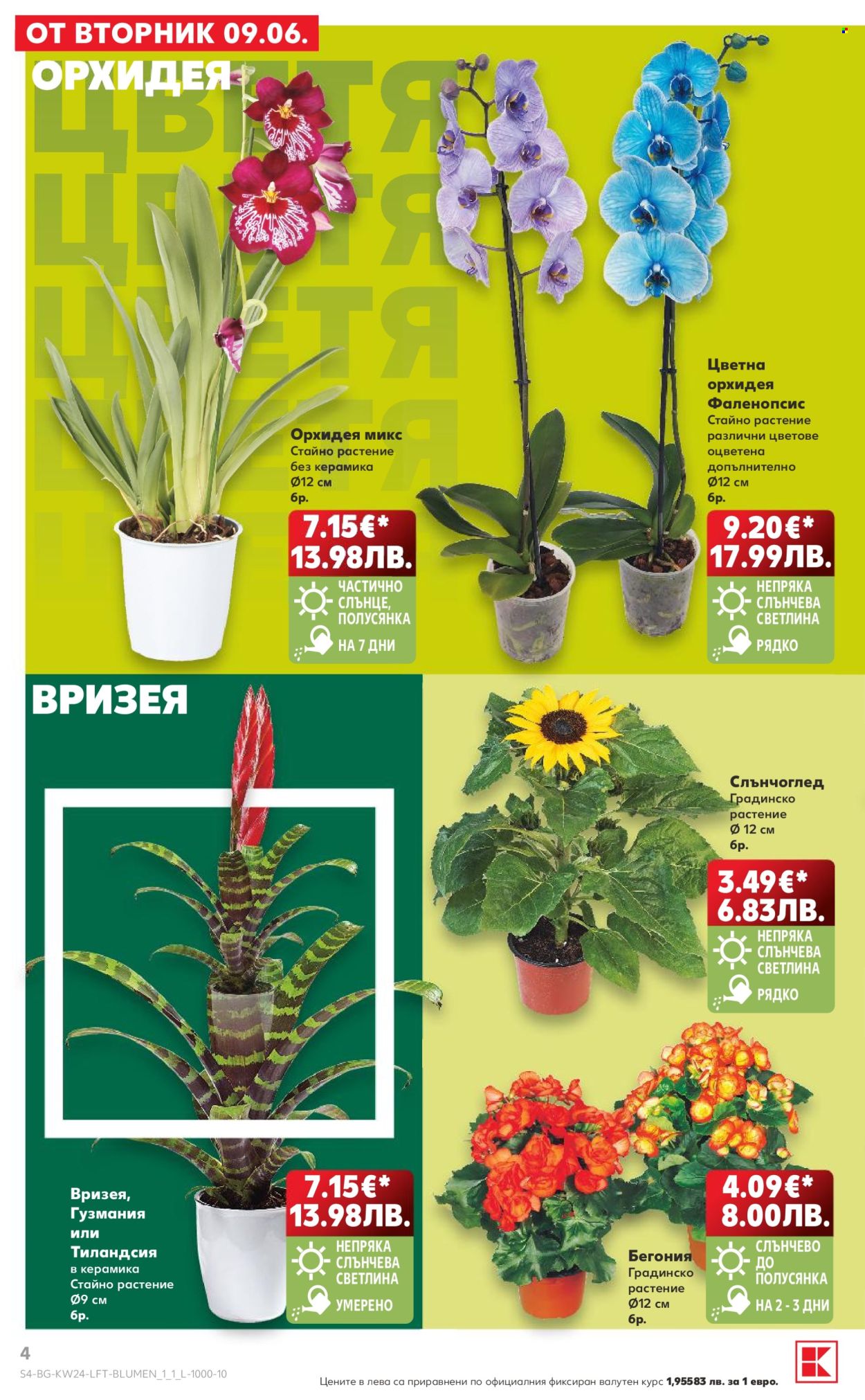 Брошура на Кауфланд - 08.06.2026 - 14.06.2026. Страница 4