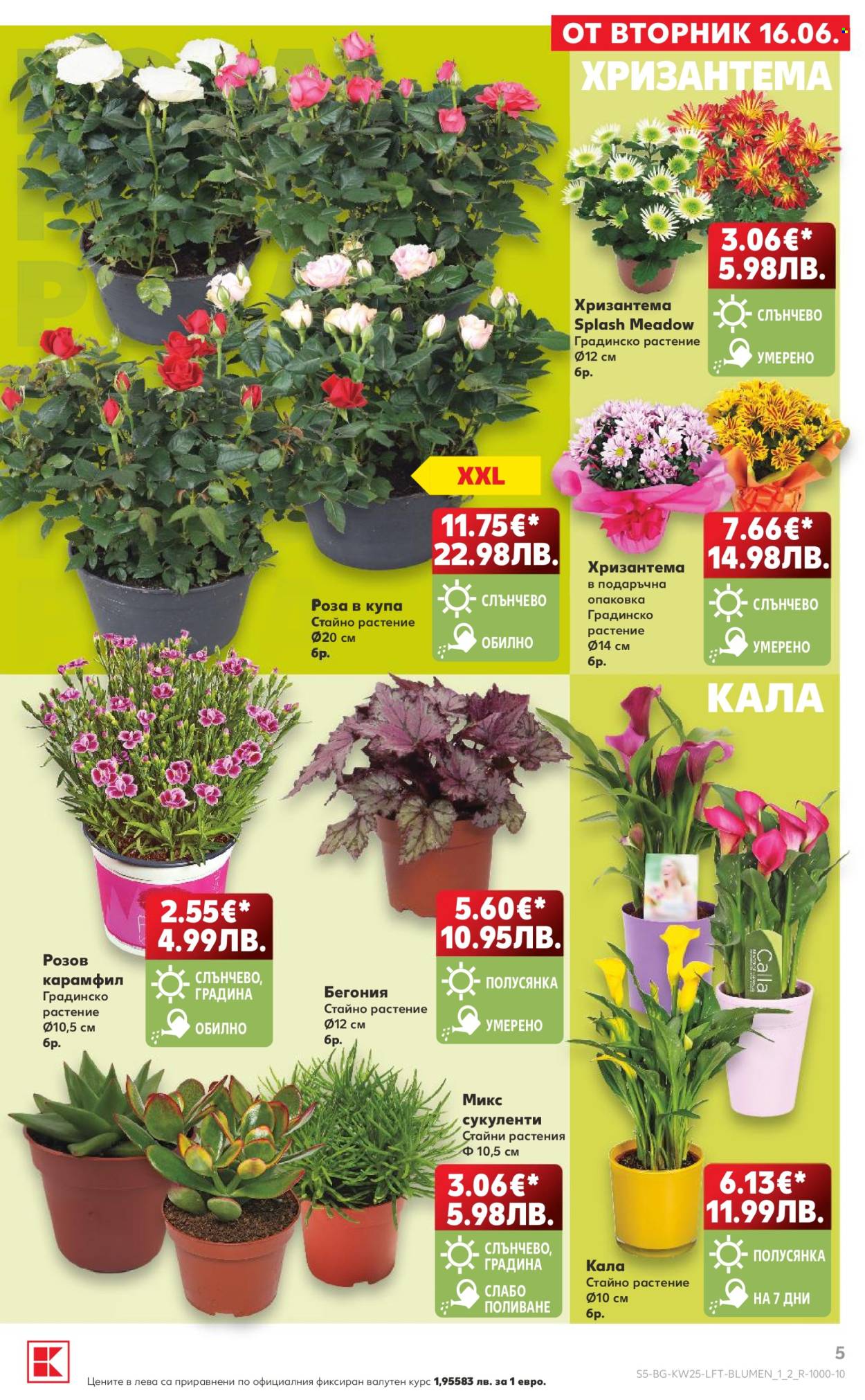 Брошура на Кауфланд - 15.06.2026 - 21.06.2026. Страница 5