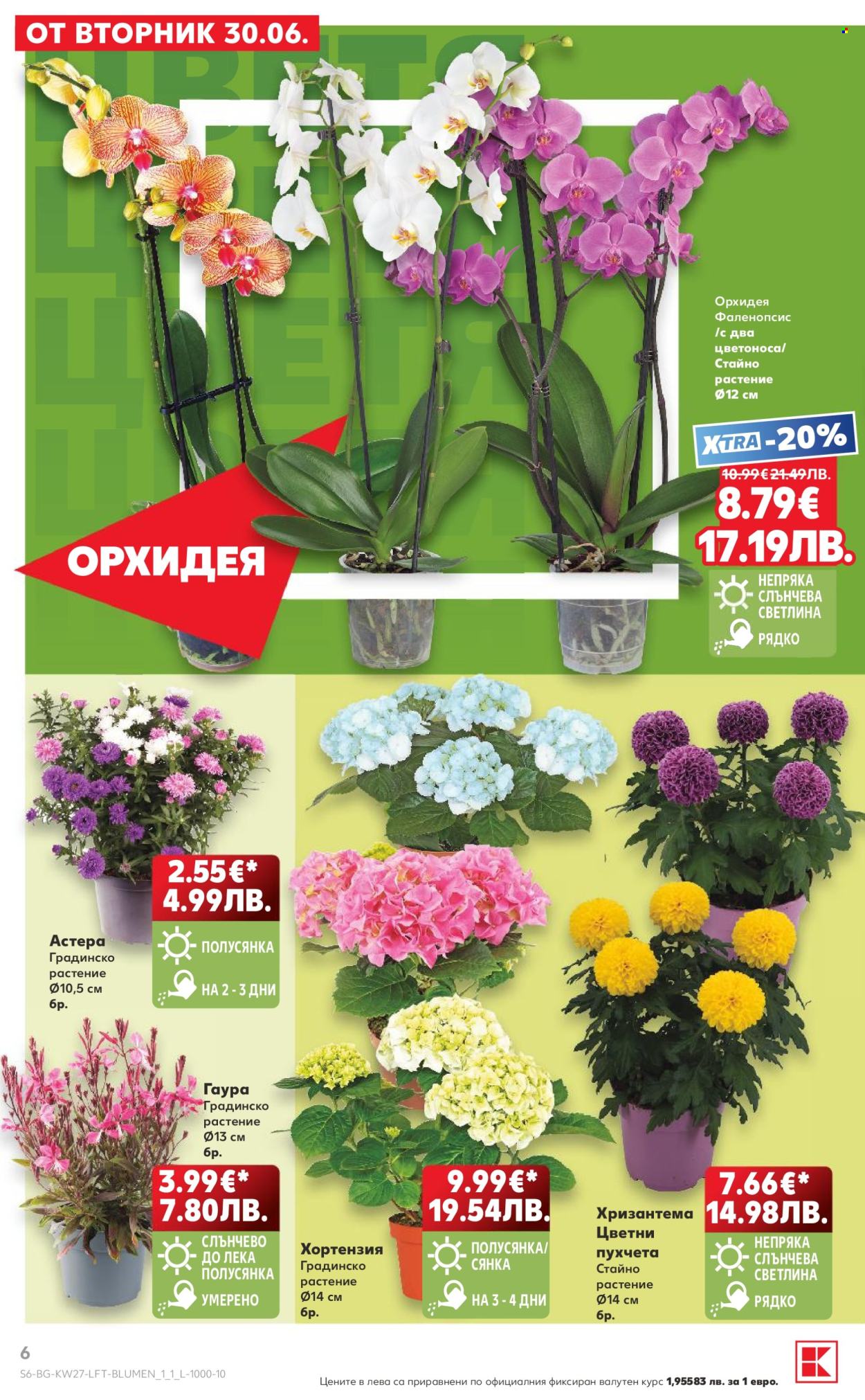 Брошура на Кауфланд - 29.06.2026 - 05.07.2026. Страница 6
