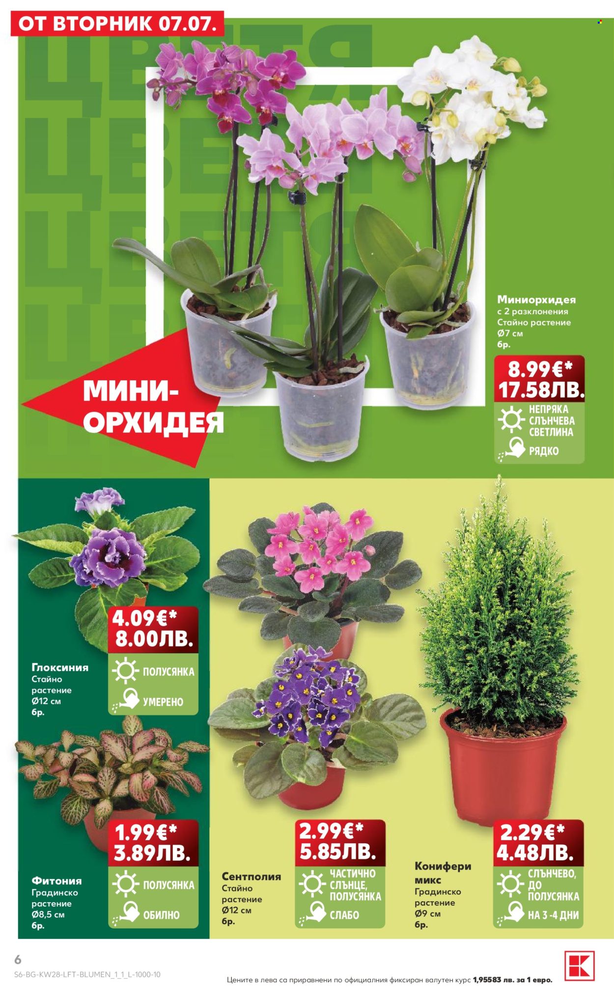Брошура на Кауфланд - 06.07.2026 - 12.07.2026. Страница 6