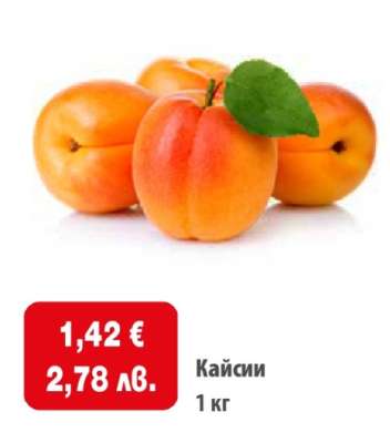 Кайсии
