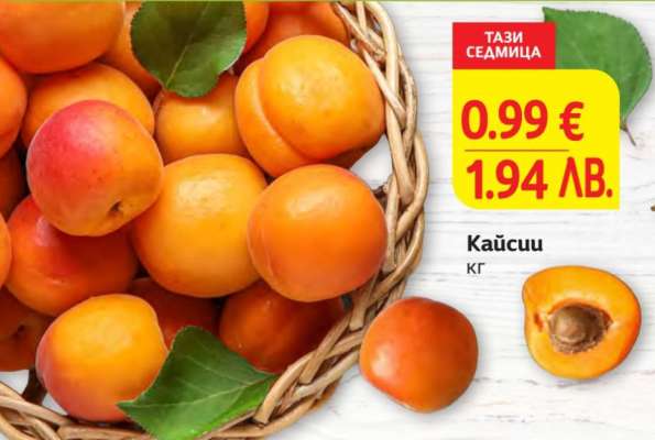 Кайсии