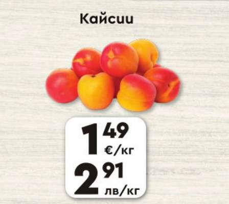 Кайсии