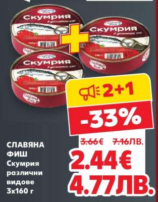 СЛАВЯНА ФИШ