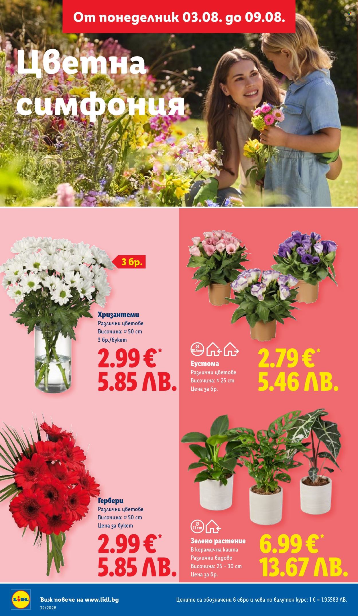 Брошура на Лидл - 03.08.2026 - 09.08.2026. Страница 52
