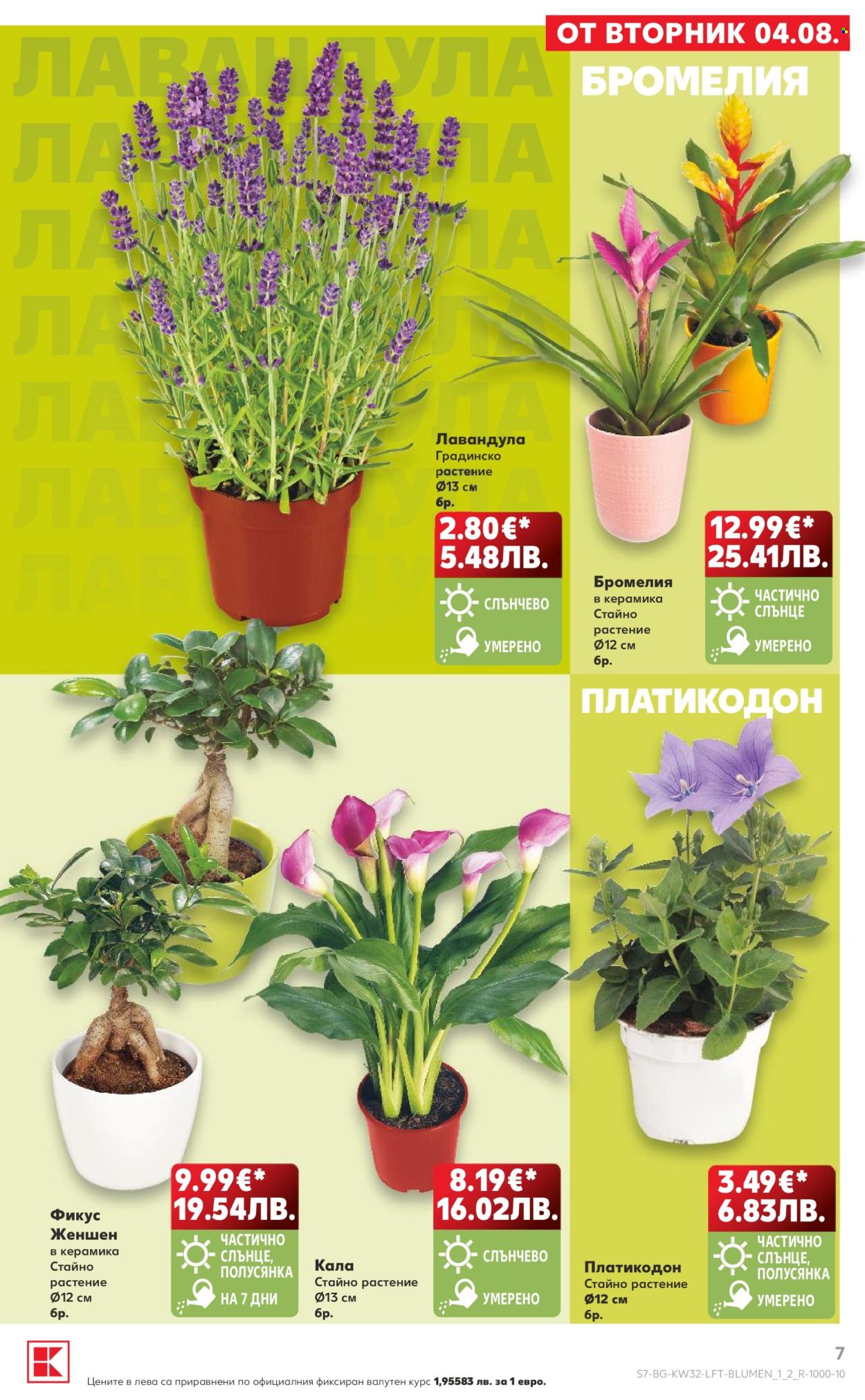 Брошура на Кауфланд - 03.08.2026 - 09.08.2026. Страница 7