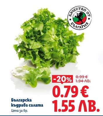 Българска къдрава салата