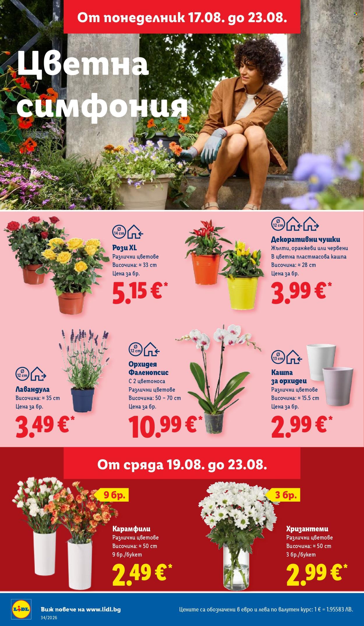 Брошура на Лидл - 17.08.2026 - 23.08.2026. Страница 50