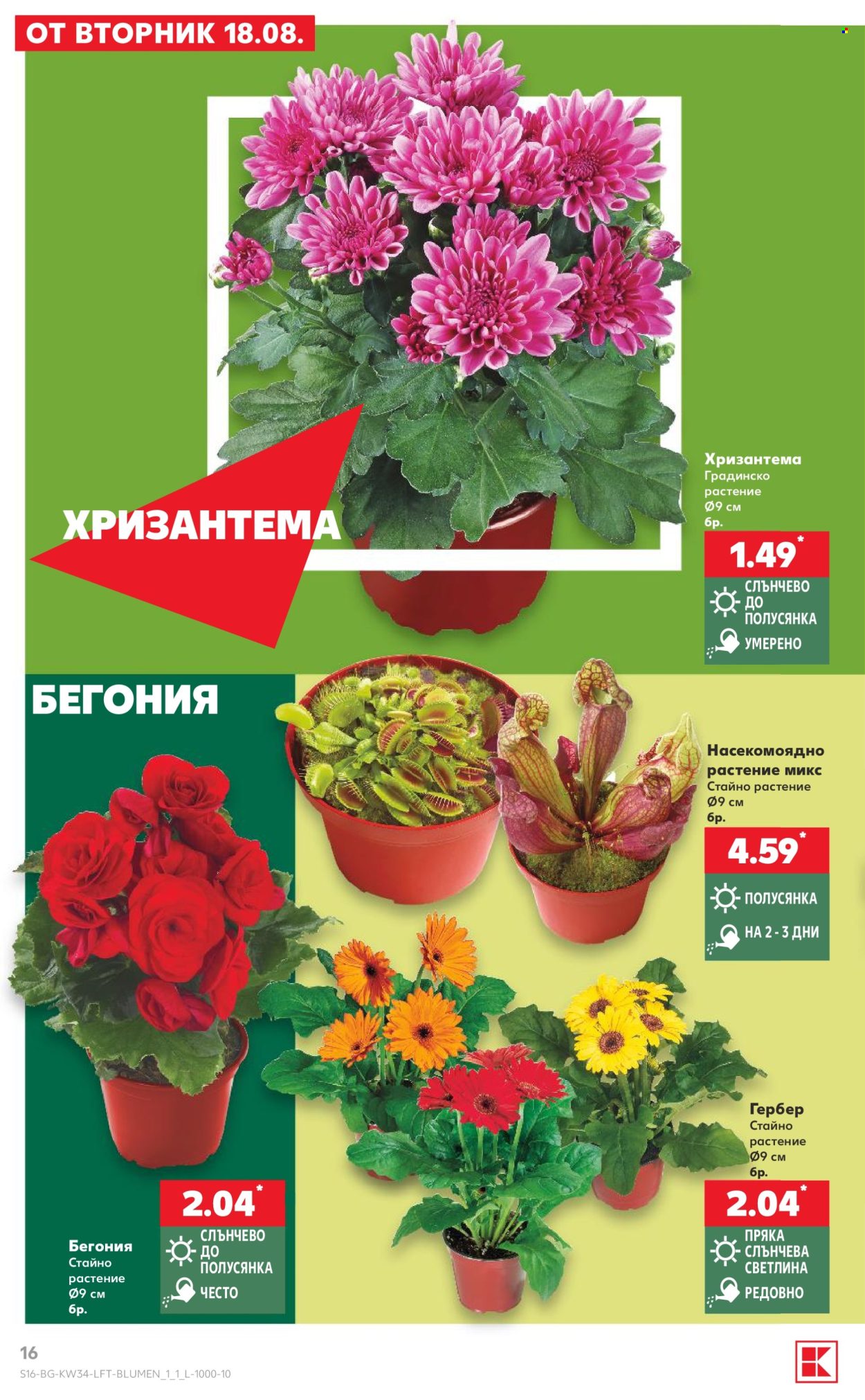 Брошура на Кауфланд - 18.08.2026 - 23.08.2026. Страница 16