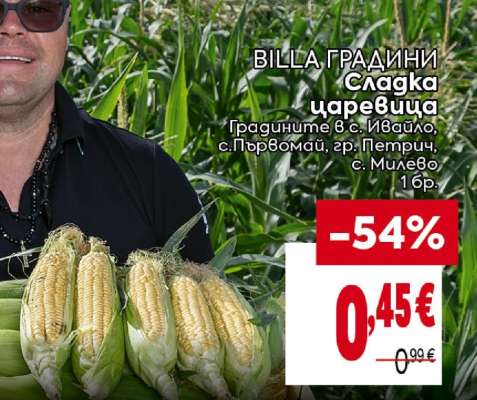Сладка царевица