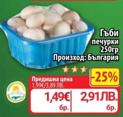 Гъби печурки
