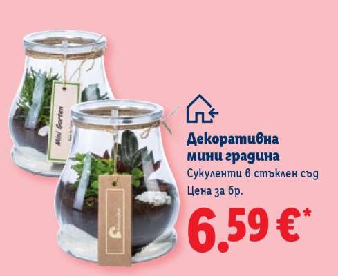 Декоративна мини градина