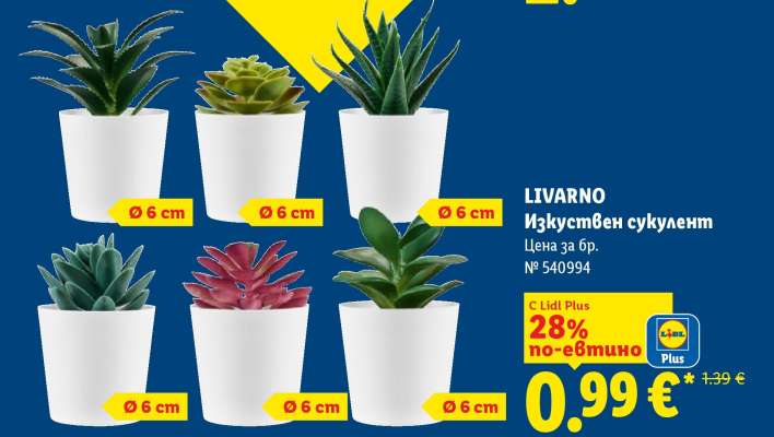 LIVARNO Изкуствен сукулент