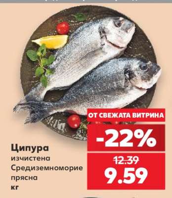 Ципура