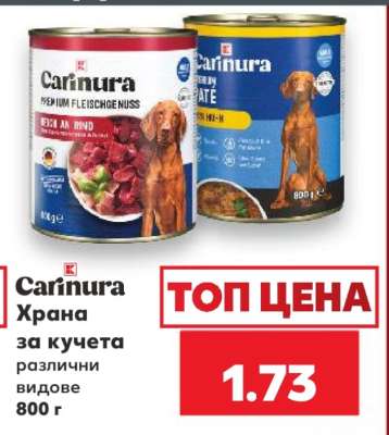 Carinura