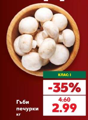 Гъби печурки кг