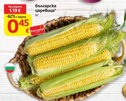 Българска царевица