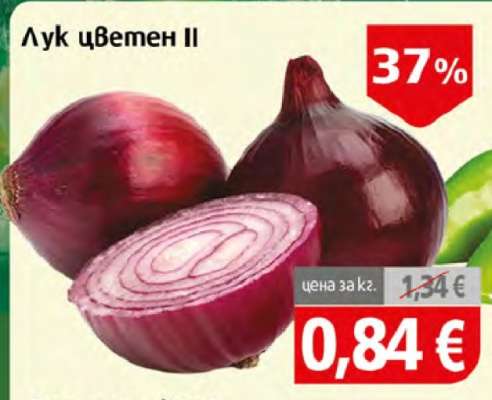 Лук цветен II