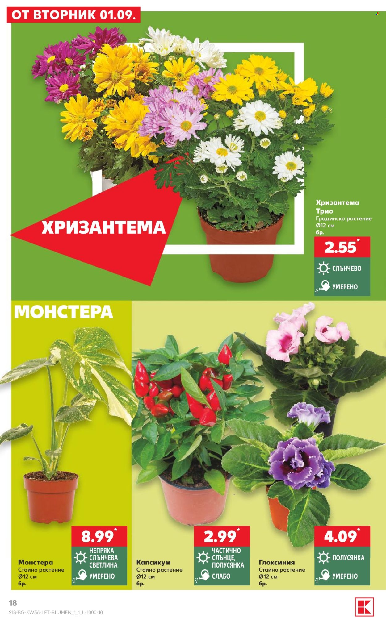 Брошура на Кауфланд - 31.08.2026 - 06.09.2026. Страница 18