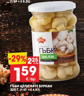 ГЪБИ ЦЕЛИ АРТЕ БУРКАН