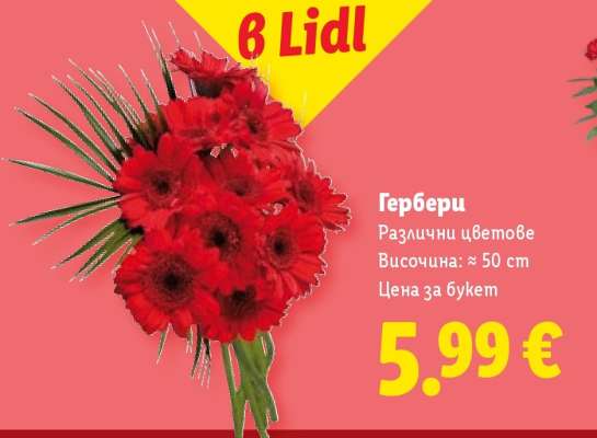 Гербери