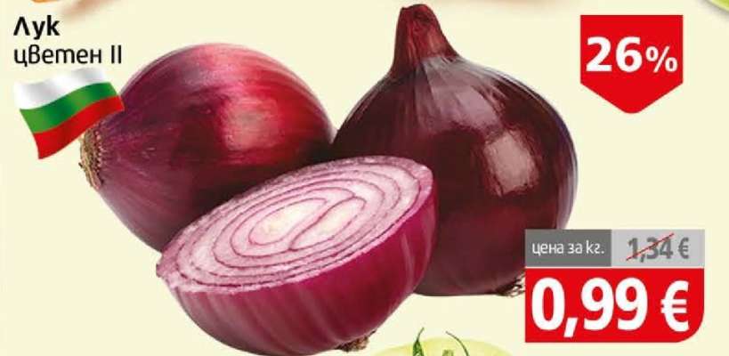 Лук цветен II