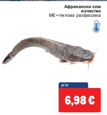 Африкански сом