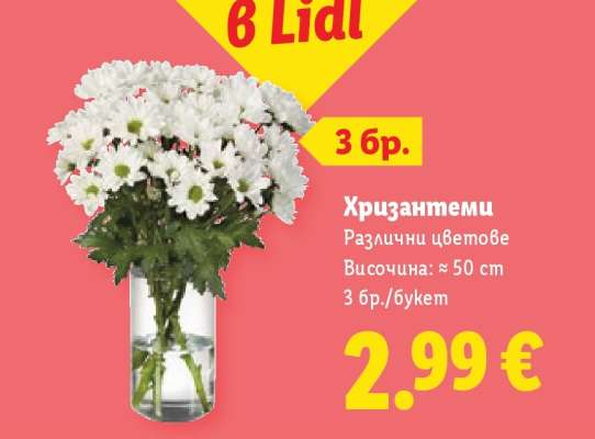 Хризантеми