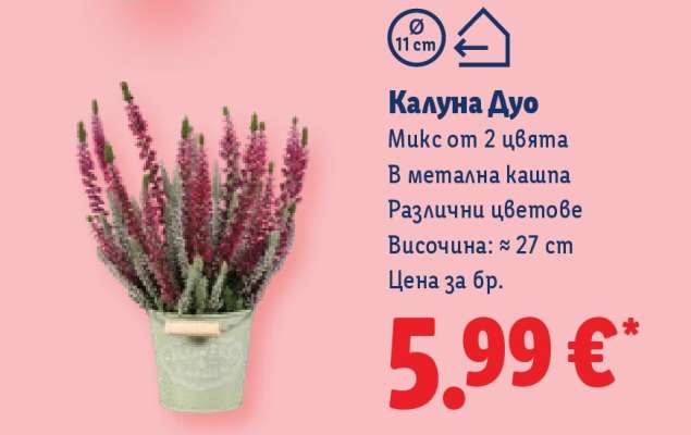 Калуна дуо